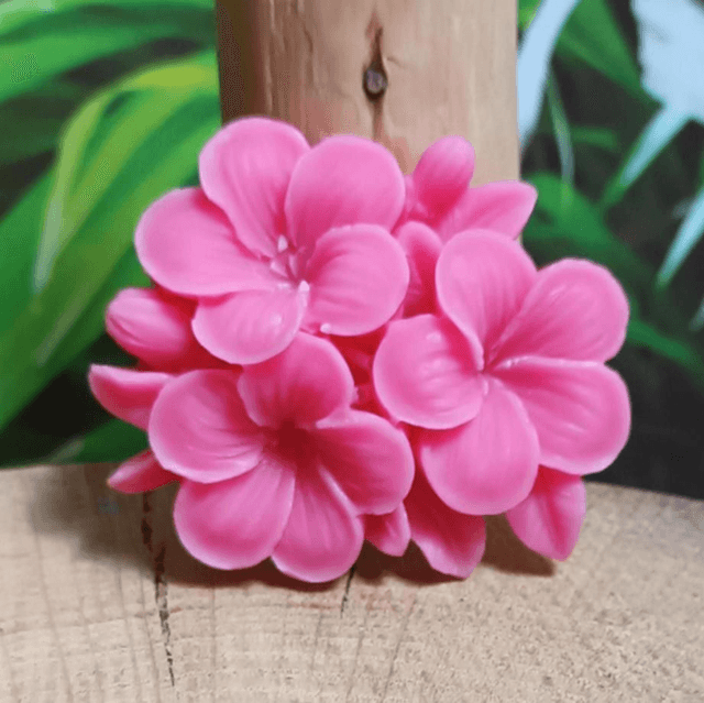 Fondant parfumé &quot;fleurs&quot; fraise et menthe